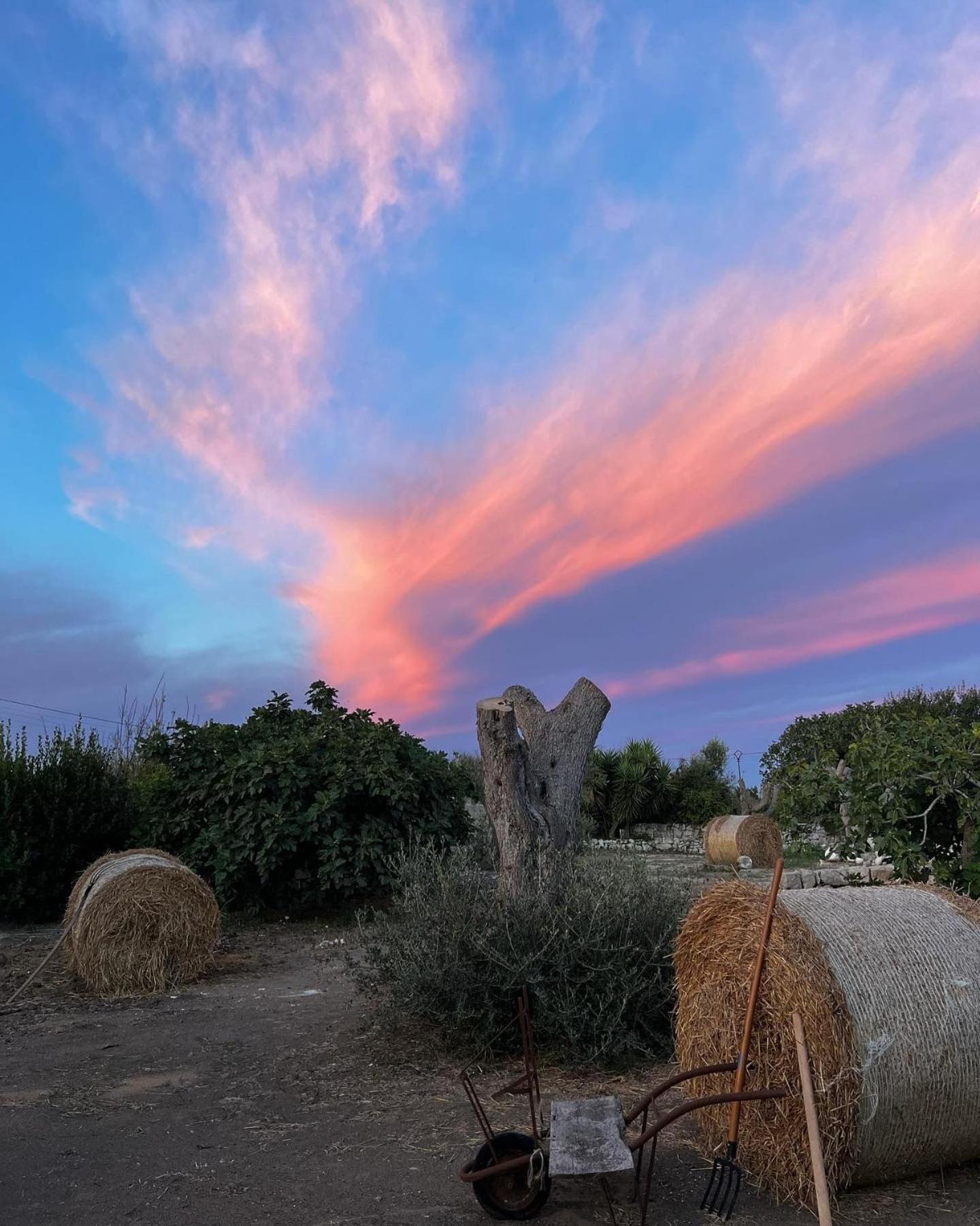 Radiciterra Country house San Foca